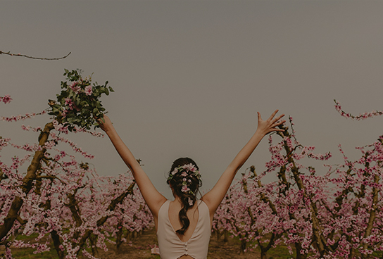 bodas Partners in Crime