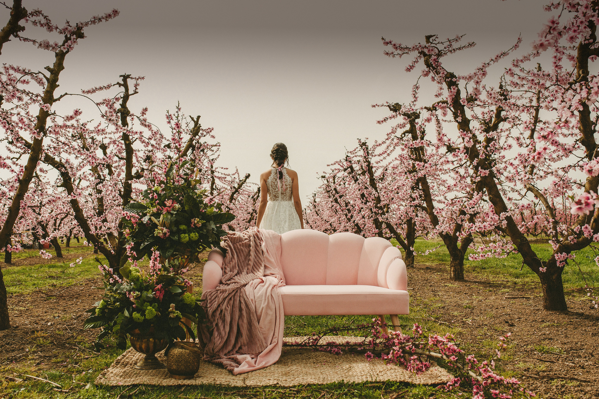 novia Partners in Crime