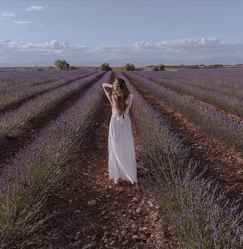 boda con lavanda
