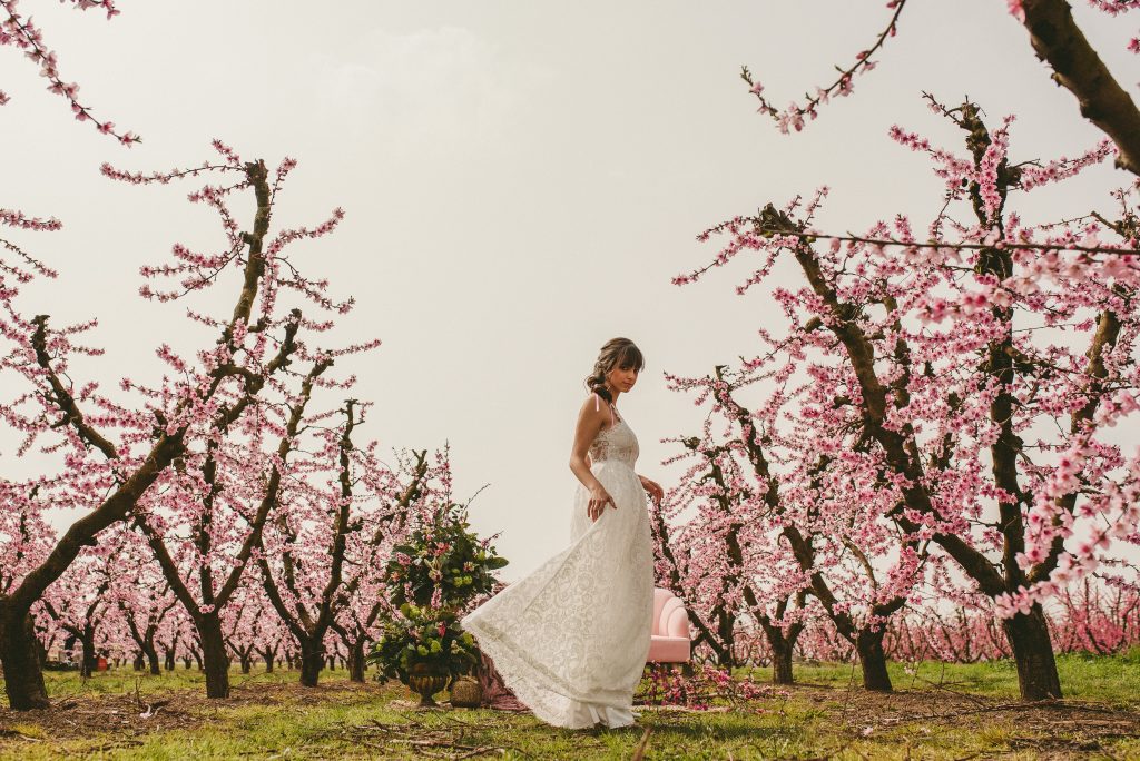 novia partners in crime