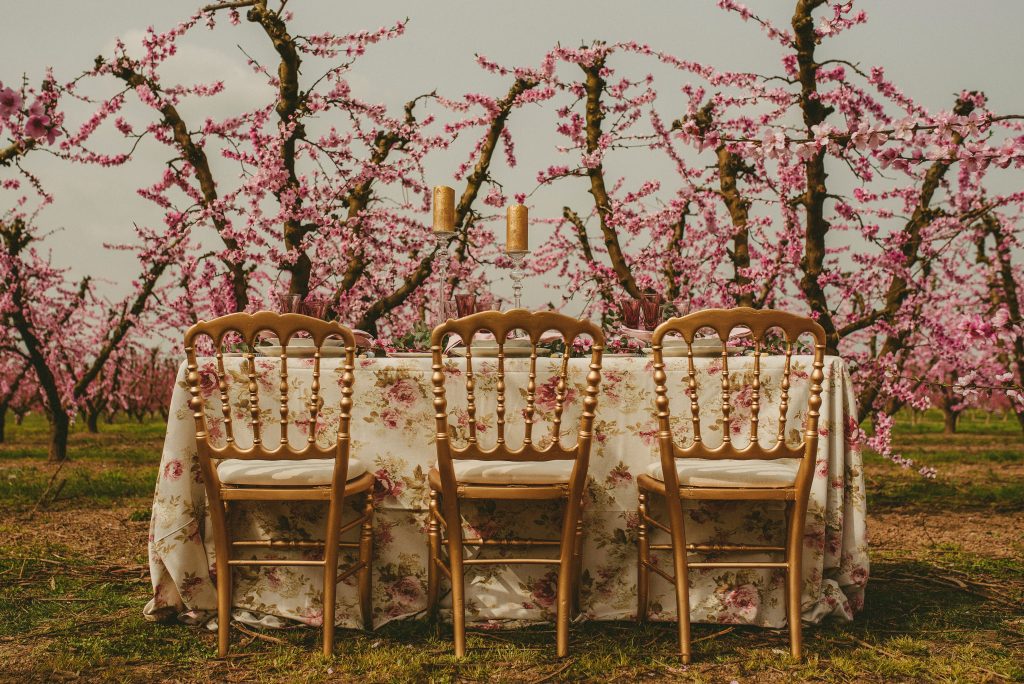 deco partners In crime